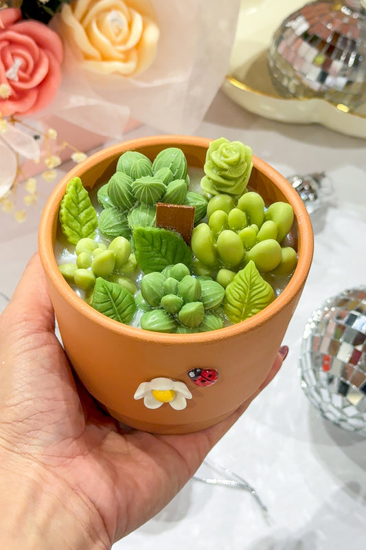 Cactus Candle Workshop – Snacks & Drink Included