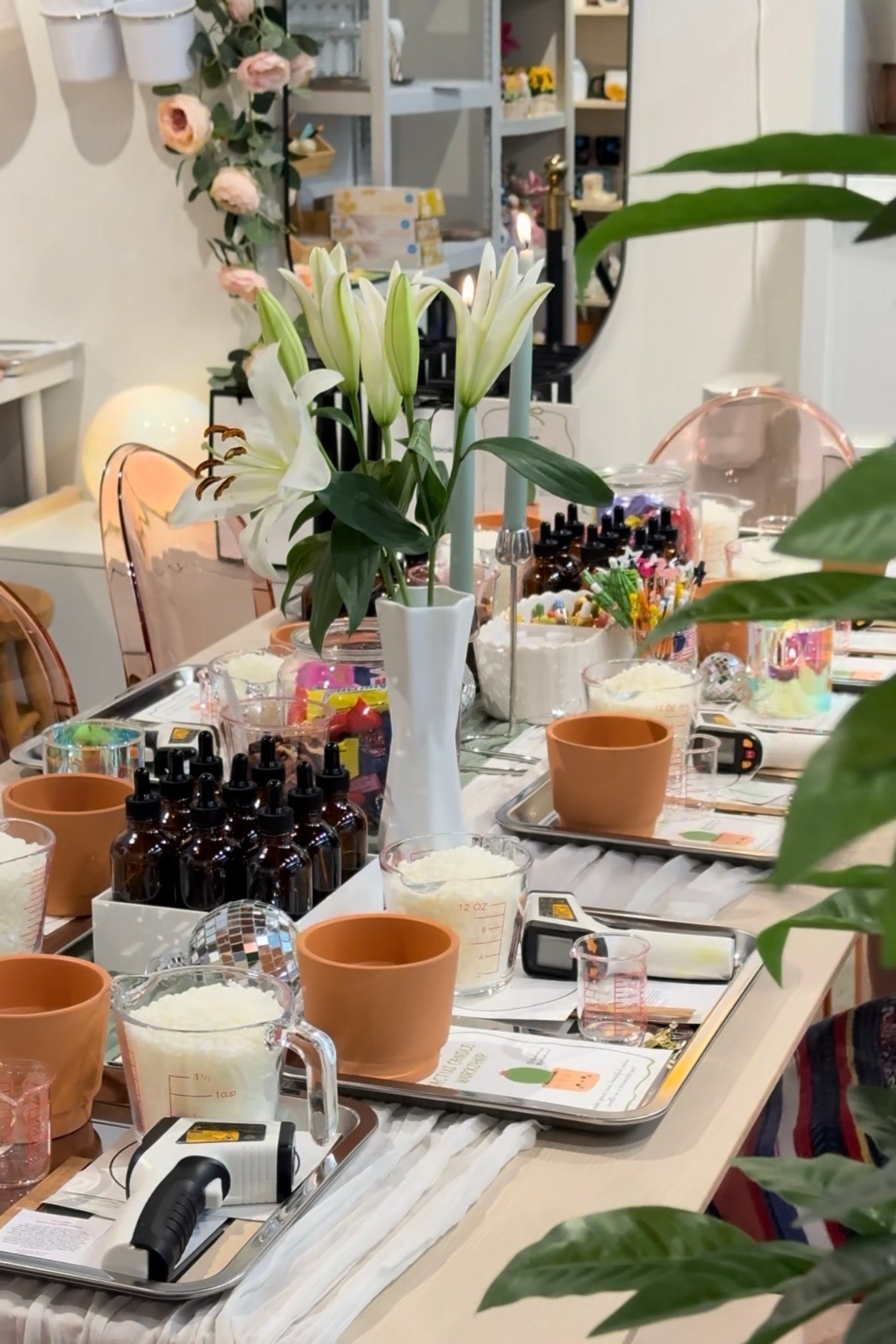 Cactus Candle Workshop – Snacks & Mocktail with Fresh Fruit Included
