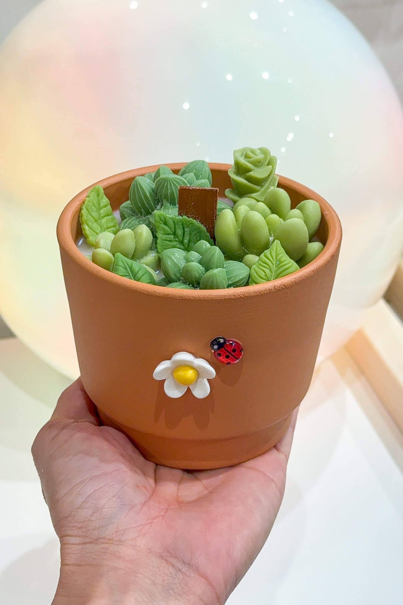 Cactus Candle Workshop – Snacks & Drink Included
