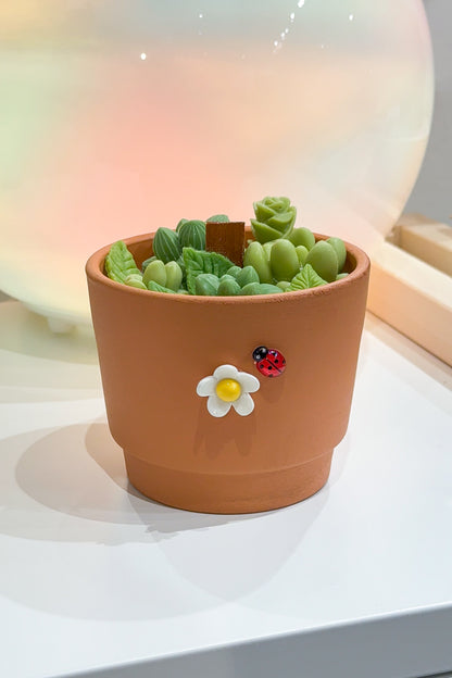 Cactus Candle Workshop – Snacks & Drink Included