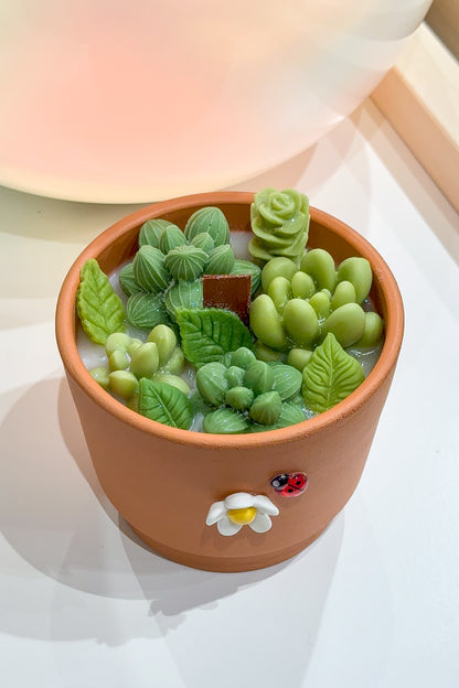 Cactus Candle Workshop – Snacks & Drink Included