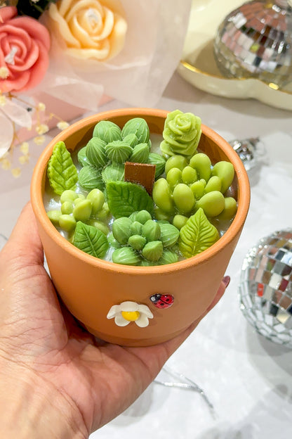 Cactus Candle Workshop – Snacks & Drink Included