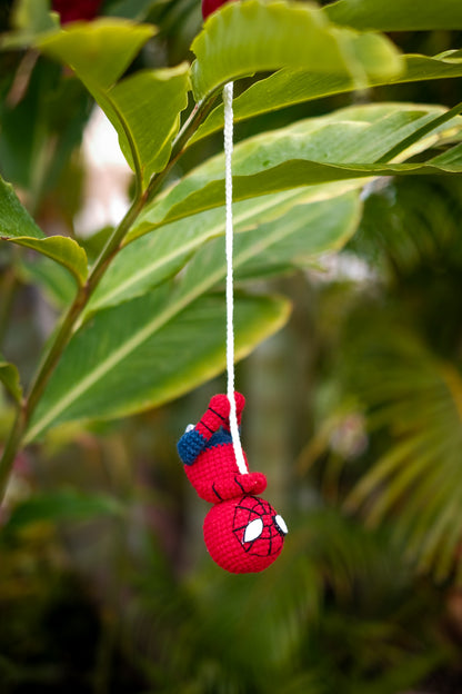 Crochet Hanging Spider-web