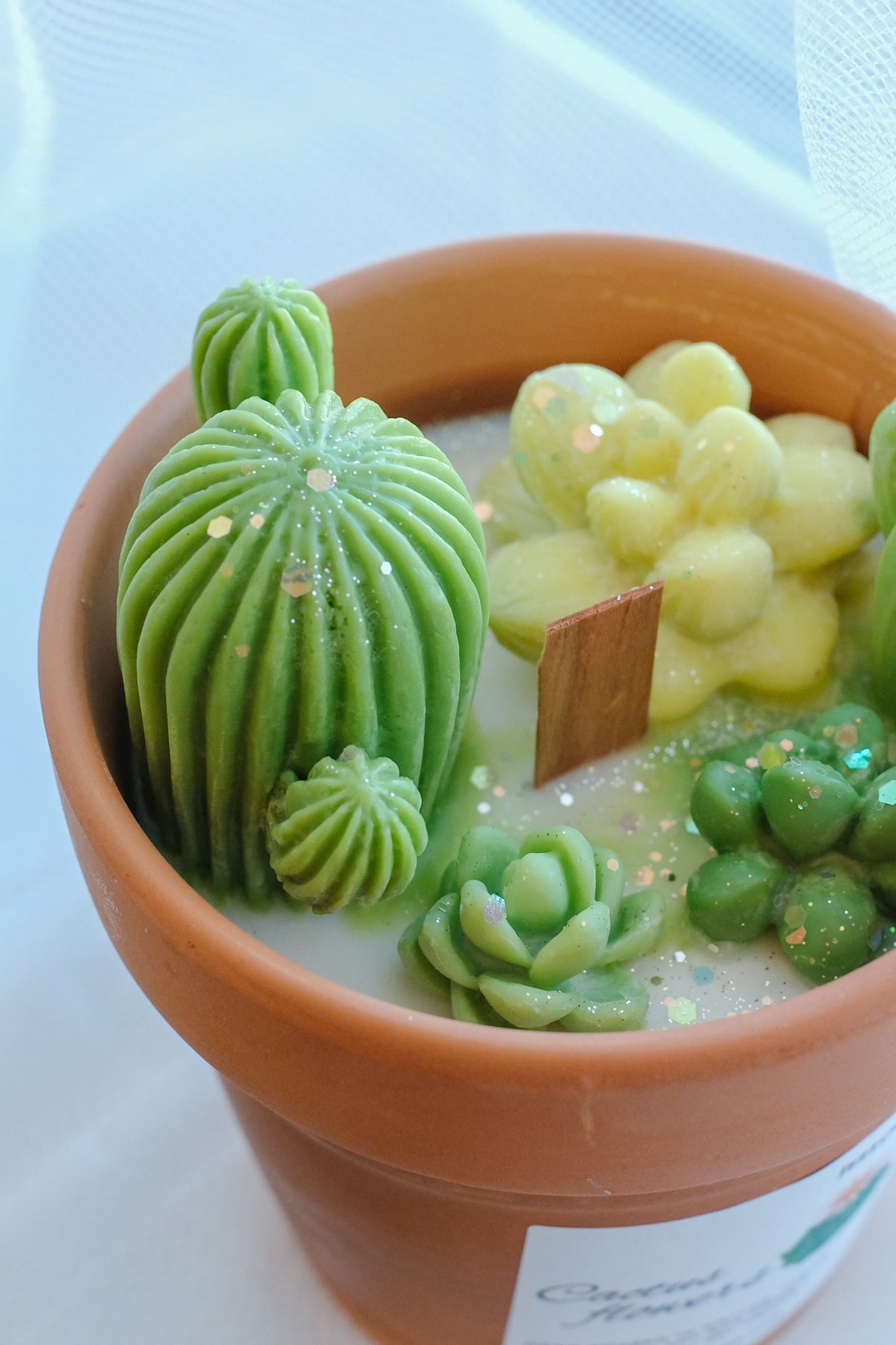 Cactus Candle Workshop – Snacks & Drink Included